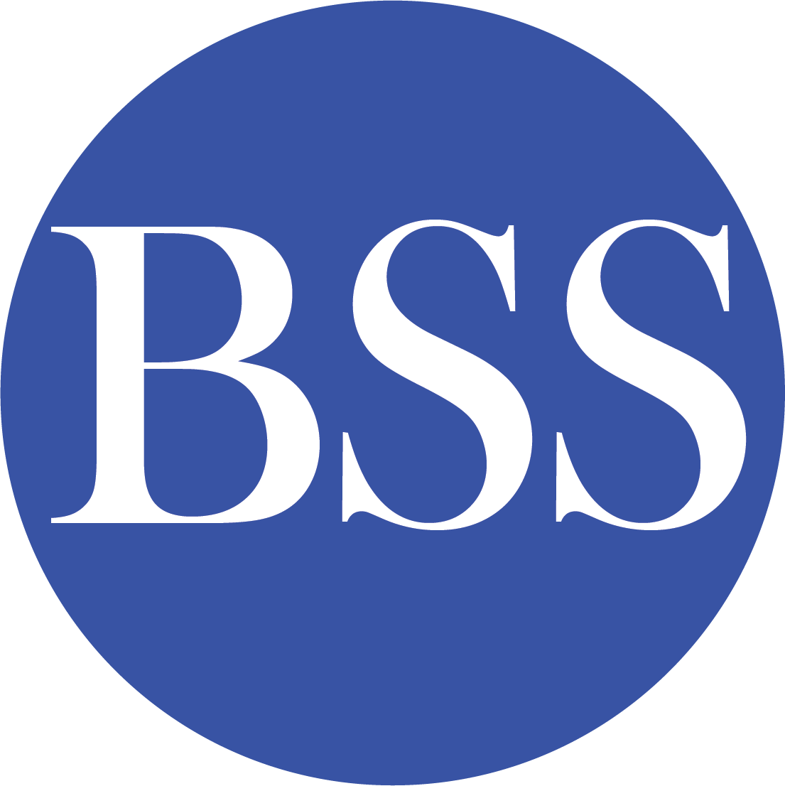 Brown Staffing Solutions logo